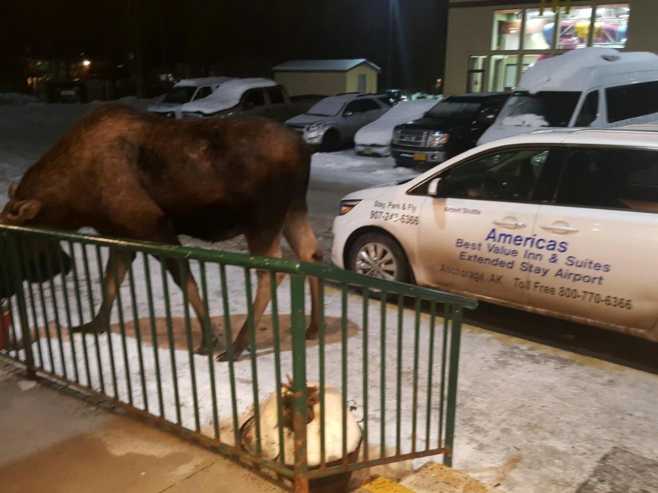 Americas Best Value Inn & Suites Anchorage Airport מראה חיצוני תמונה